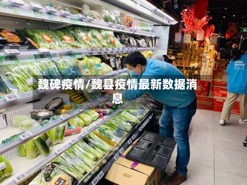魏碑疫情/魏县疫情最新数据消息