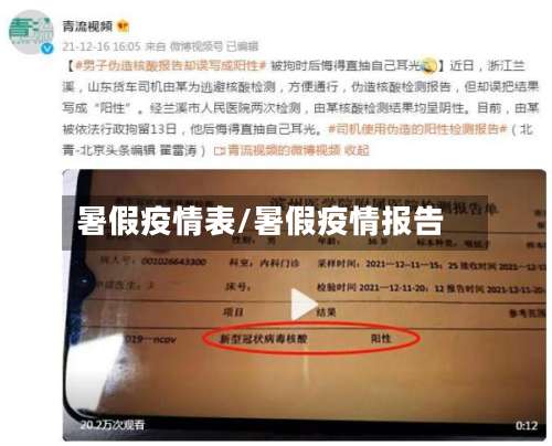 暑假疫情表/暑假疫情报告-第2张图片