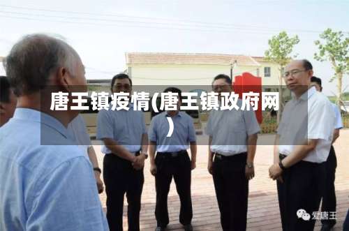 唐王镇疫情(唐王镇政府网)-第2张图片