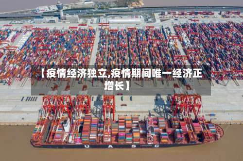 【疫情经济独立,疫情期间唯一经济正增长】