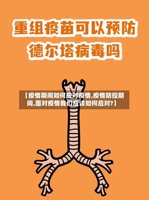 【疫情期间如何应对疫情,疫情防控期间,面对疫情我们应该如何应对?】-第3张图片