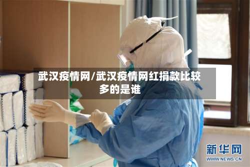 武汉疫情网/武汉疫情网红捐款比较多的是谁-第3张图片