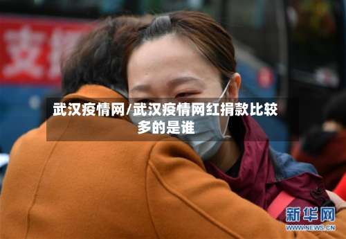 武汉疫情网/武汉疫情网红捐款比较多的是谁